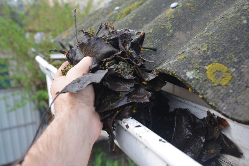 Gutter Leaves Removal in Longmont, CO